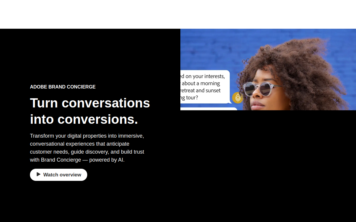 Screenshot di Adobe Brand Concierge