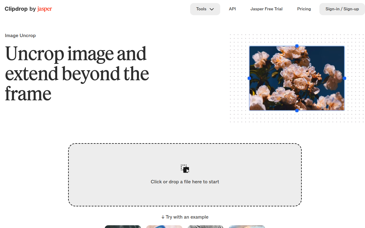 Screenshot di Clipdrop Uncrop